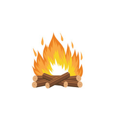 Cartoon camp fire Royalty Free Vector Image - VectorStock