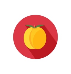 Apricot or peach icon fresh fruit on white Vector Image