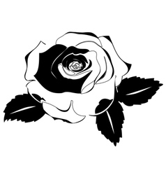 Rose silhouette Royalty Free Vector Image - VectorStock