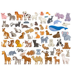 Animal cartoon Royalty Free Vector Image - VectorStock