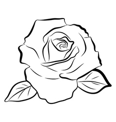 Sketch line drawing of rose Royalty Free Vector Image