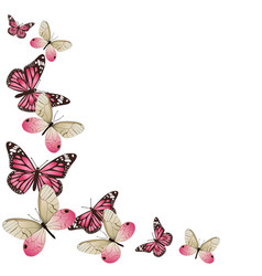 Frame pink butterflies in flight isolated Vector Image