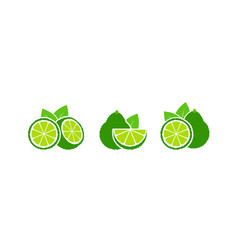 Bergamot set Royalty Free Vector Image - VectorStock
