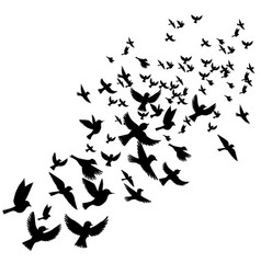 Flying birds silhouettes Royalty Free Vector Image