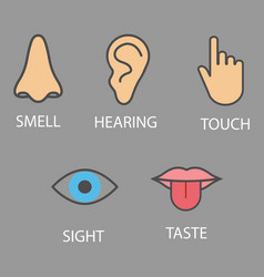 Human senses icon flat Royalty Free Vector Image