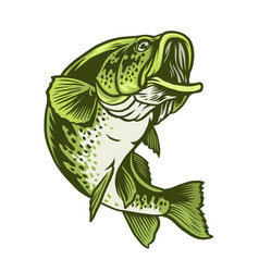 Largemouth Bass Vector Images (over 670)