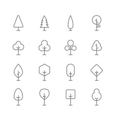 trees line icons set vector image
