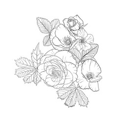 Drawing flowers Royalty Free Vector Image - VectorStock