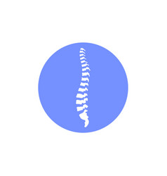 Human spine Royalty Free Vector Image - VectorStock