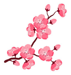 Cherry Tree Drawing Vector Images (over 2,900)