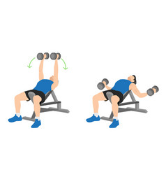 Woman doing incline dumbbell bench press exercise Vector Image