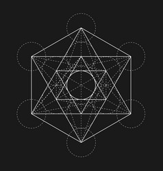 Metatrons cube flower of life sacred geometric Vector Image