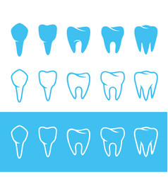 Teeth chart tooth Royalty Free Vector Image - VectorStock