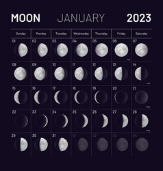 Moon phases calendar Royalty Free Vector Image