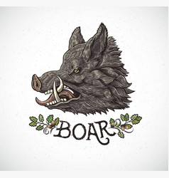 Boar Head Vector Images Over 1 800