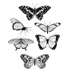 Flying black white butterflies Royalty Free Vector Image