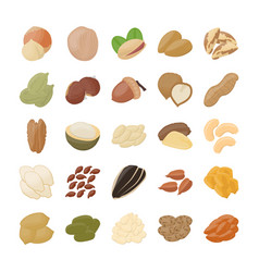 Calorie Table Nuts And Seeds Royalty Free Vector Image