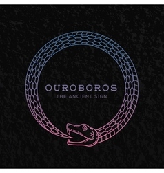 Abstract ouroboros snake symbol sign or a Vector Image