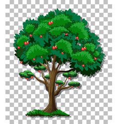 Apple Tree On Transparent Background Royalty Free Vector