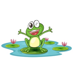 Angry cartoon frog Royalty Free Vector Image - VectorStock