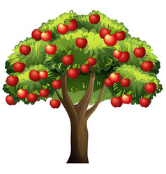 Apple Tree Clipart Vector Images Over 210