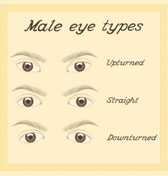 Various male eye shapes Royalty Free Vector Image