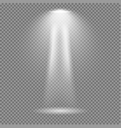 Light effect on transparent background bright Vector Image