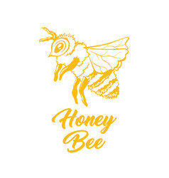 Yellow outline sketch of honey bee Royalty Free Vector Image