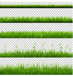 Big set green grass and spring flowers borders Vector Image