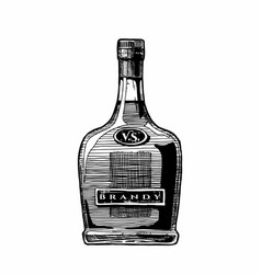Types Brandy Royalty Free Vector Image Vectorstock Types Brandy Royalty Free Vector Image Vectorstock