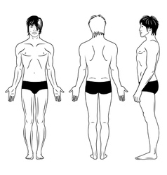 Naked standing man Royalty Free Vector Image - VectorStock