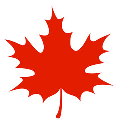 Realistic red maple leaf Royalty Free Vector Image