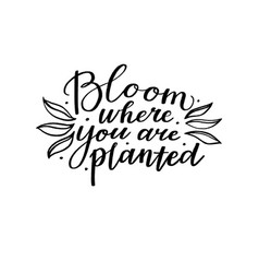 Image result for BLOOM WHERE YOU ARE PLANTED!