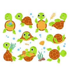 Cartoon turtle cute tortoise wild animal Vector Image