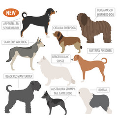 large austrian dog breeds