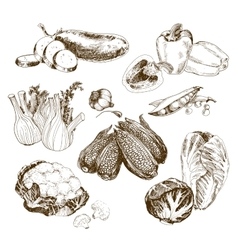 Vegetables collection Royalty Free Vector Image