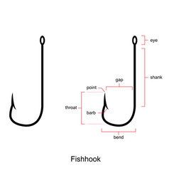 Anatomy a fish hook fish hook isolated on white Vector Image