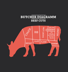 Beef cuts diagram Butcher shop background Vector Image