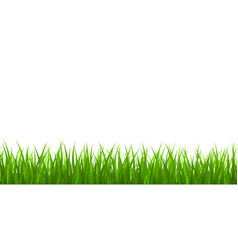 Grass Royalty Free Vector Image - VectorStock