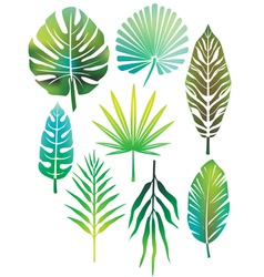 Set of tropical leaves Royalty Free Vector Image