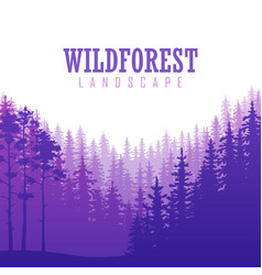 wild coniferous forest background pine tree vector image