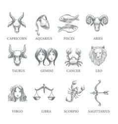 Birth Symbol Vector Images Over 25 000