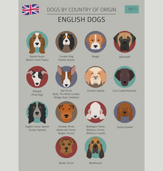 Dogs by country of origin english dog breeds Vector Image