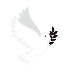 Dove with olive branch Royalty Free Vector Image