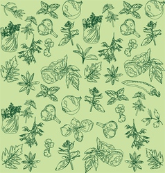 Herbs and spices seamless pattern on white Vector Image