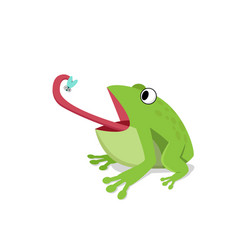 Frog and fly Royalty Free Vector Image - VectorStock