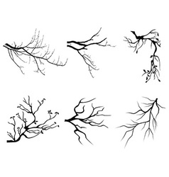 branch design