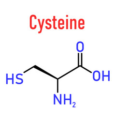 Cysteine Or L-cysteine Amino Acid Molecule Vector Image