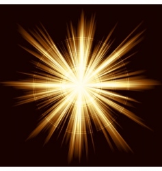 Star burst Royalty Free Vector Image - VectorStock