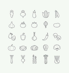 Vegetable veggies thin line and color icon set Vector Image